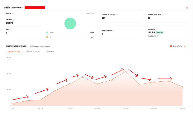 90-Day SEO Transformation Using Niche Edits & Authority Backlinks