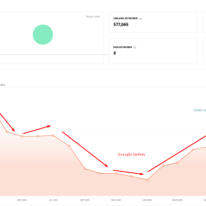 DA 0 to DA 78 Case Study – Niche Edit Backlinks & SEO Growth