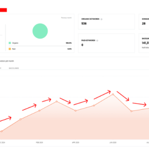 90-Day SEO Transformation Using Niche Edits & Authority Backlinks